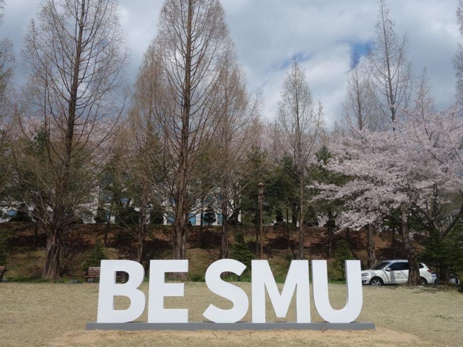 2021년 세명대학교 봄풍경 사진